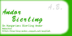 andor bierling business card